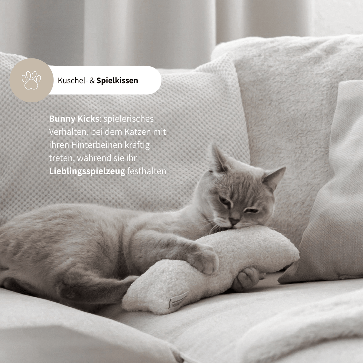 Spielkissen für Katzen schönes Katzenspielzeug mit Katzenminze