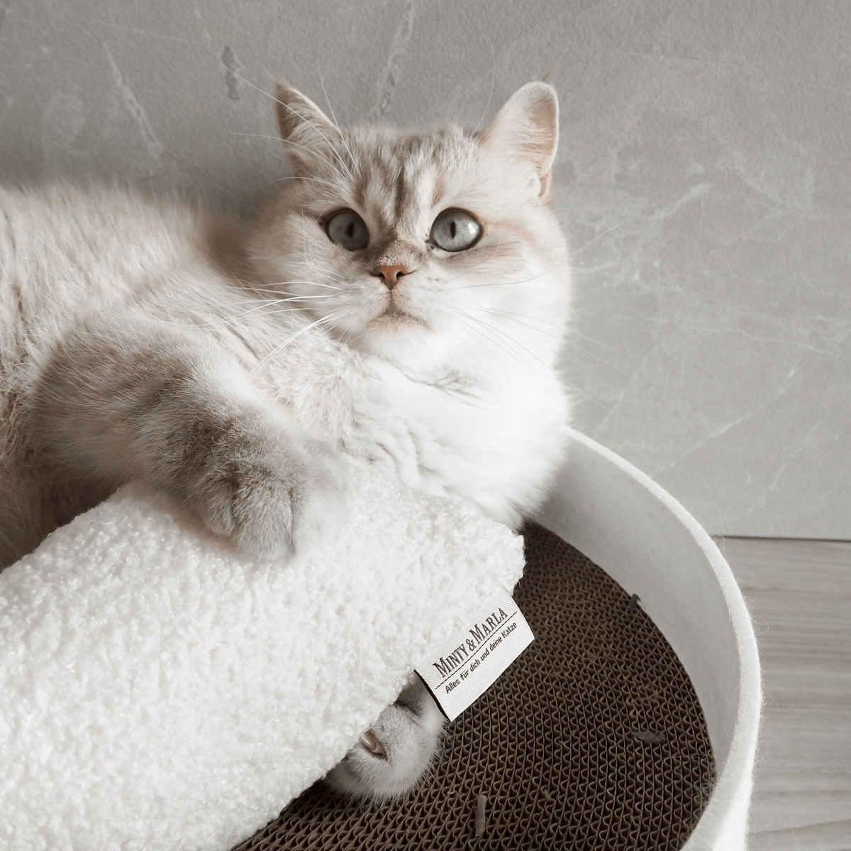 Spielkissen für Katzen aus weißem Teddystoff spielanregend mit Katzenminze