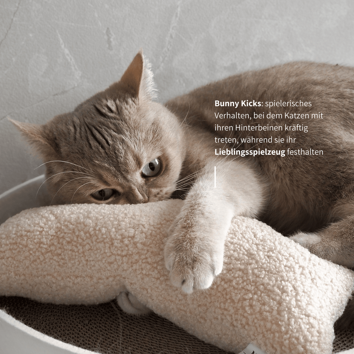Schönes Baldrian Spielzeug für Katzen spielanregendes Spielkissen
