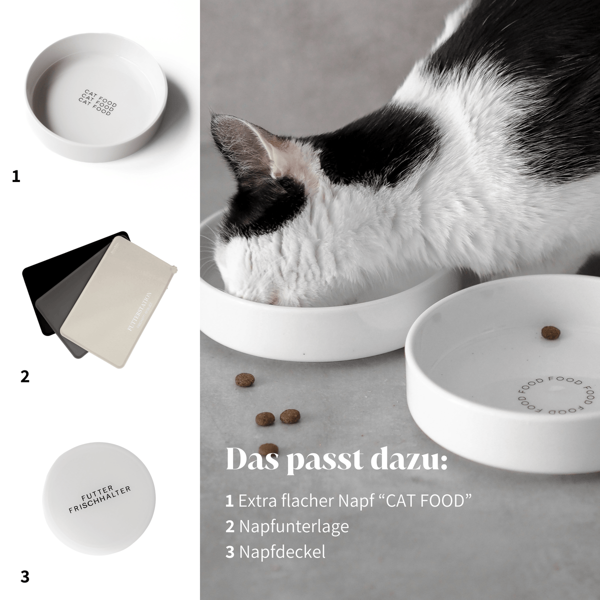 Flacher Futternapf für Katzen mit passendem, artgerechtem Futterzubehör