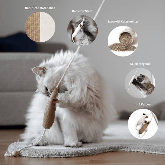 Spielangel Katzenspielzeug mit Katzenminze