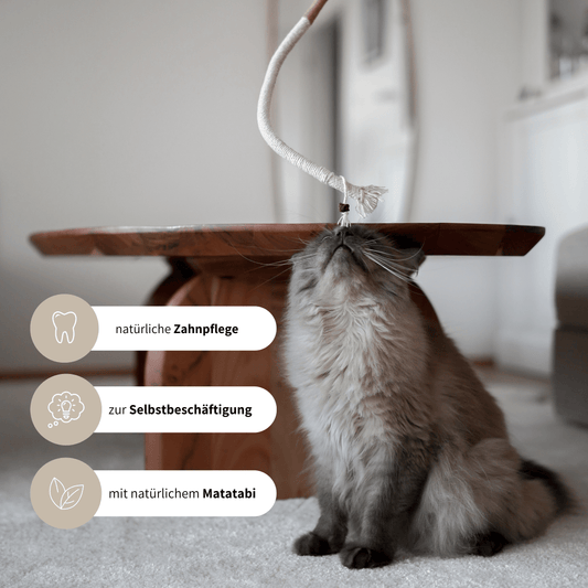 Spielseil Spielzeug mit Matatabi für Katzen zur Selbstbeschäftigung