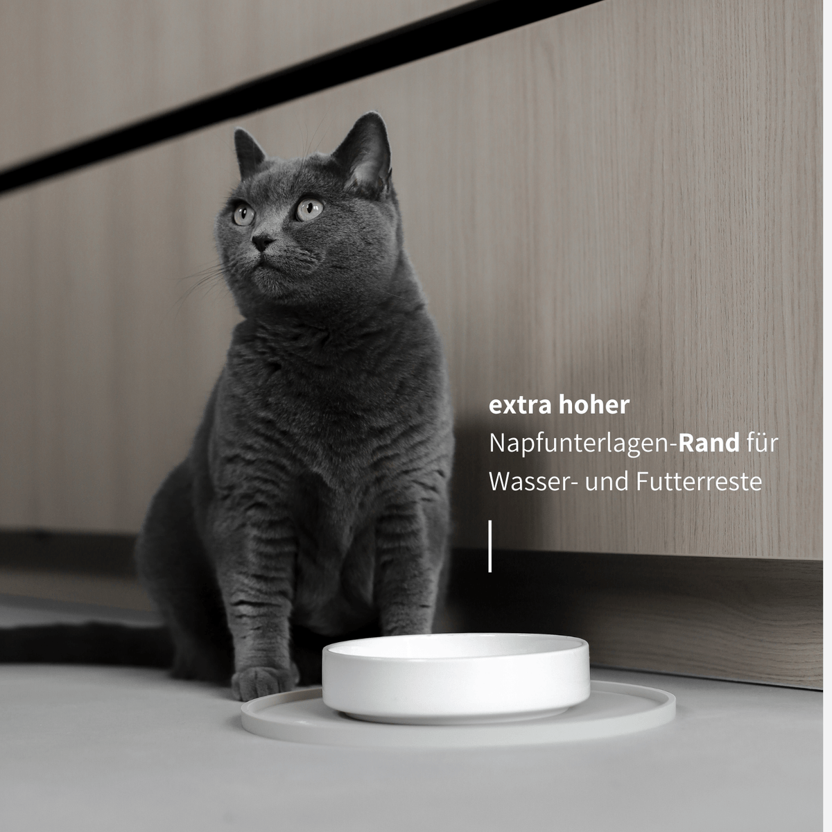 Eine graue Katze sitzt neben einem weißen Futternapf aus Keramik der auf einen beigen Napfunterlage steht