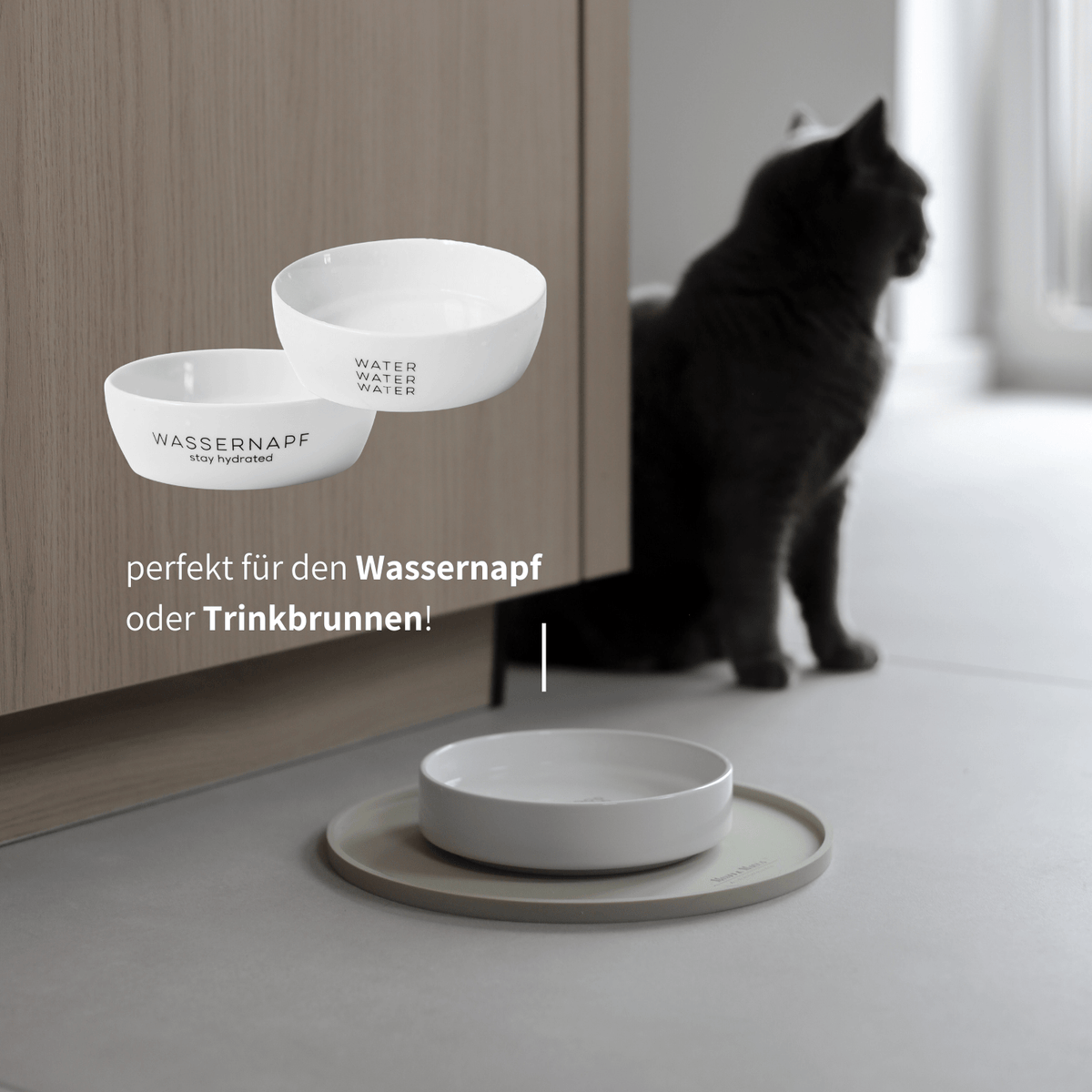 Futterplatz für Katzen vor einer holzfarbenen Küchenzeile