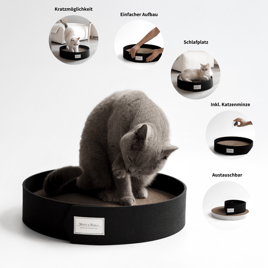 Schwarzes Kratzbrett für Katzen mit Kratzpappe und Katzenminze