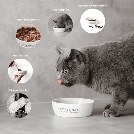 Schöner Futternapf aus Keramik für Katzen