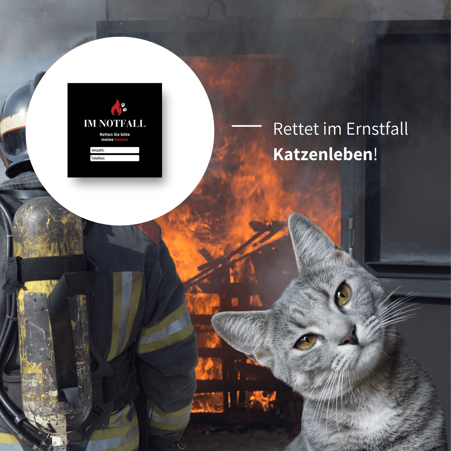 Der Notfall Aufkleber informiert die Feuerwehr im Ernstfall über Katzen in deiner Wohnung