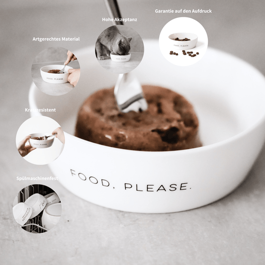 Katzennapf aus weißem hygienischem Keramnik