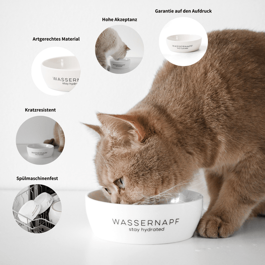 Wassernapf Napf für Katzen aus Keramik