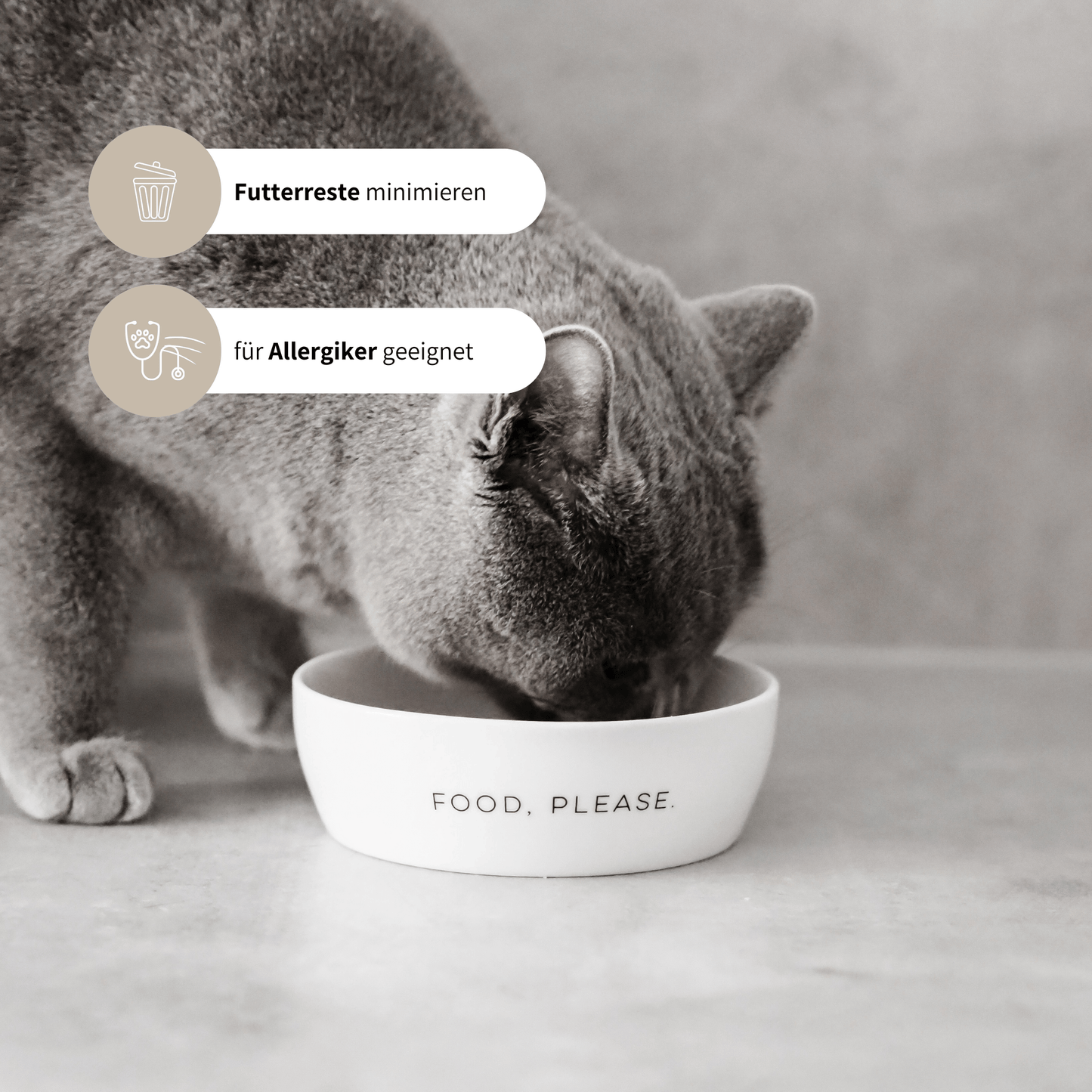 Napf für Katzen aus weißem Keramik für Katzenfutter