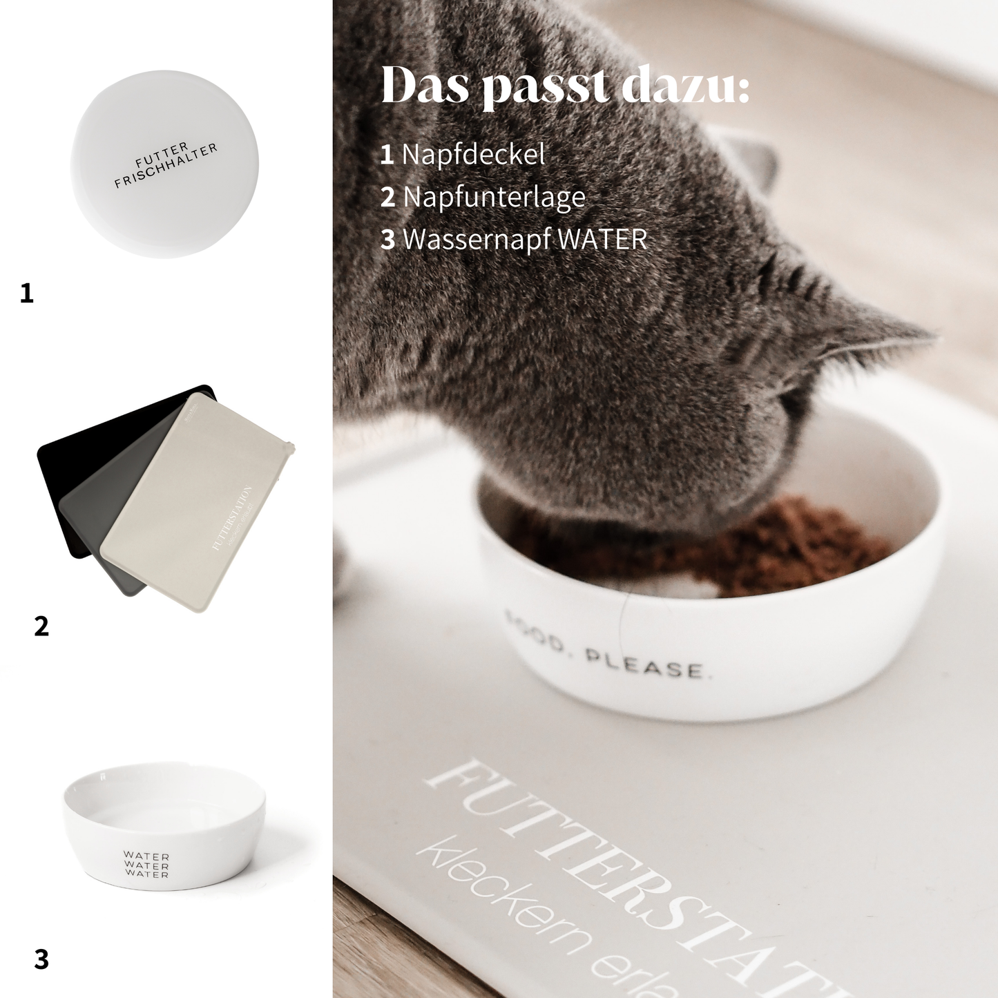 Futternapf für Katzen und stylisches Futterzubehör