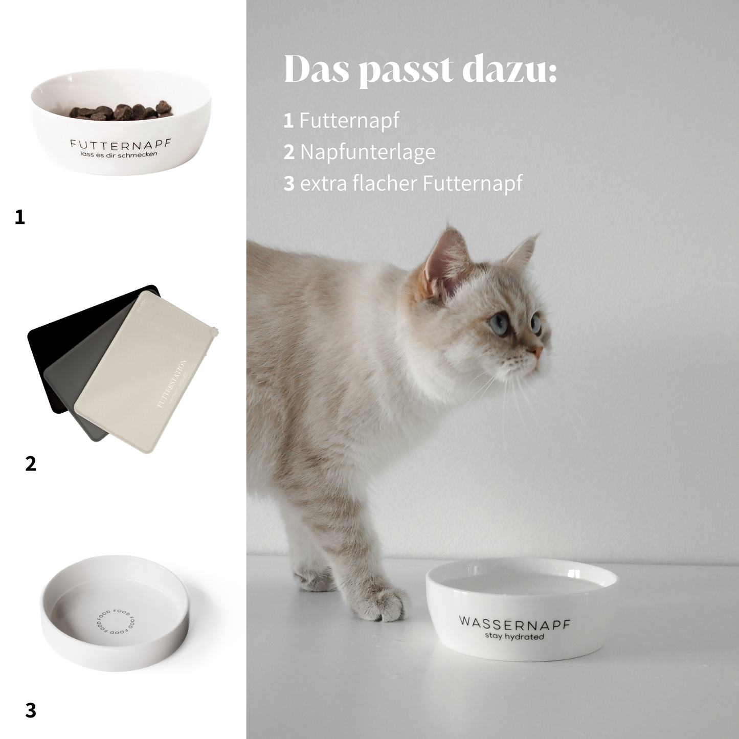 Stylisches und artgerechtes Futterzubehör für Katzen