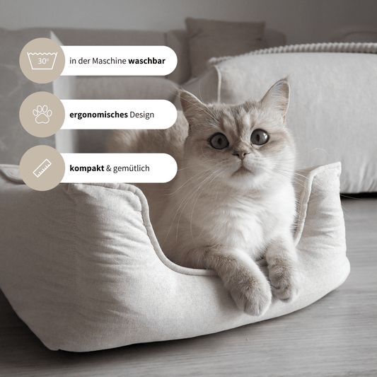 Schönes Körbchen für Katzen