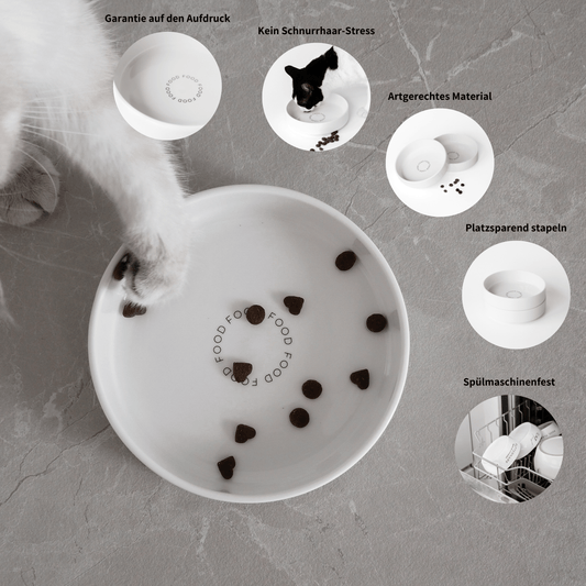 Extra flacher Napf für Katzen aus Keramik mit Aufdruck "Food"