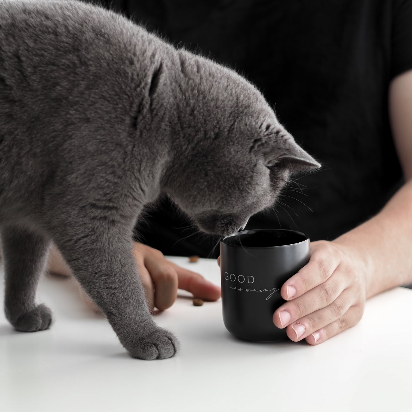 Katze mit schwarzer Keramiktasse mit Katzenaufdruck