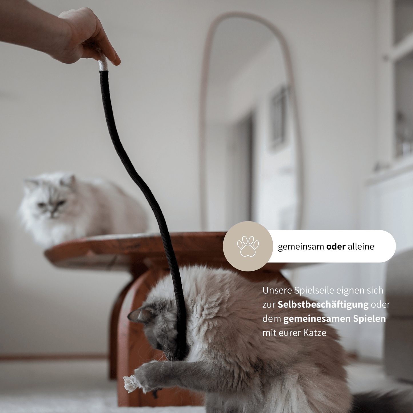 Katzenspielzeug mit Matatabi zur Beschäftigung von Katzen