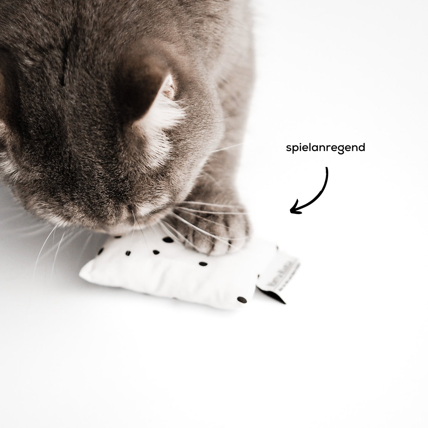 Katzen spielt Katzenminzekissen mit natürlicher und spielanregender Katzenminze.