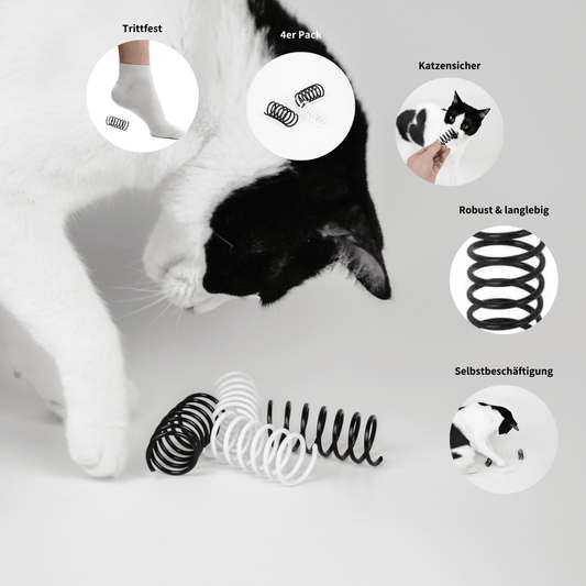 Spiralen Spielzeug für Katzen zur Selbstbeschäftigung