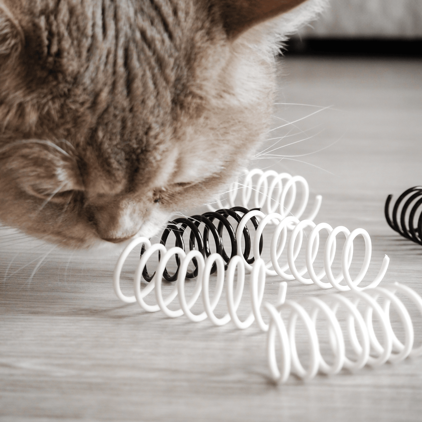 Spiralen Katzenspielzeug zur Beschäftigung von Katzen