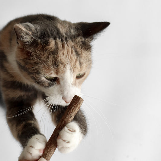 MATATABI - natürliches Spielzeug