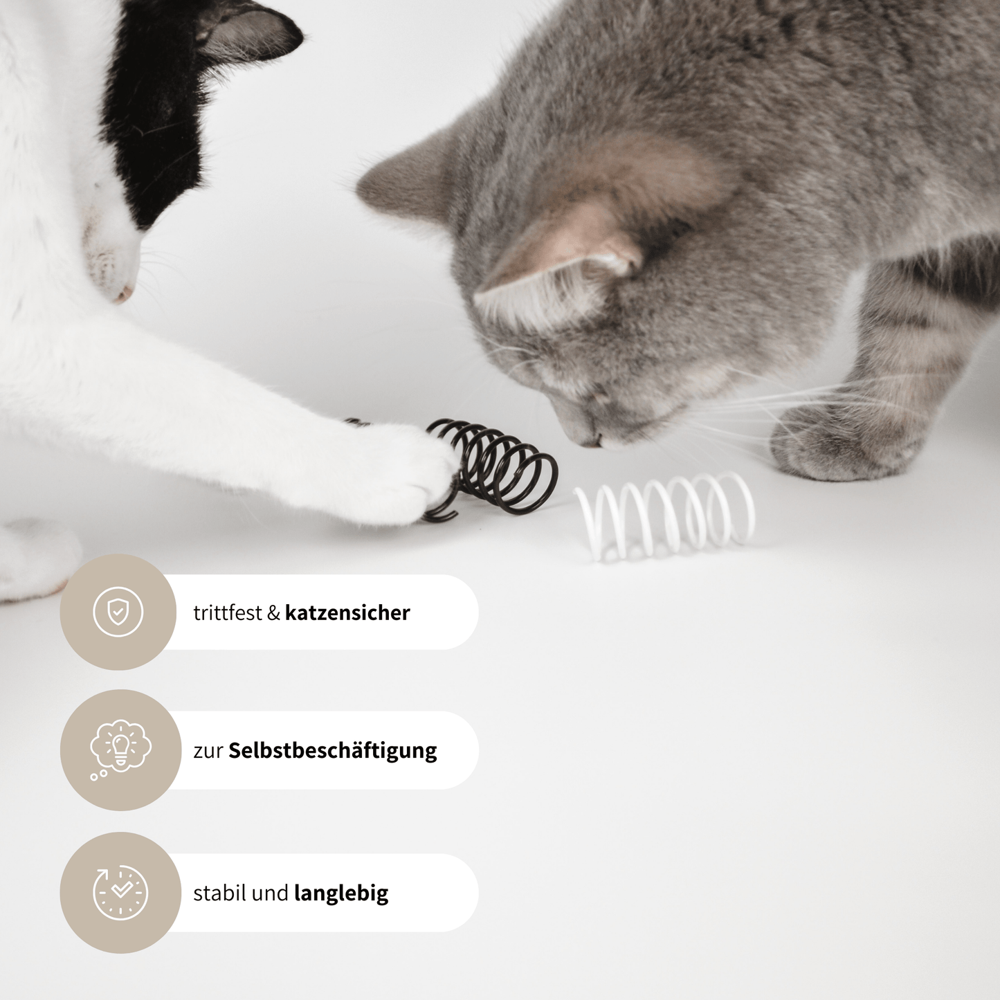Spiralen schönes Spielzeug für Katzen zur Selbstbeschäftigung