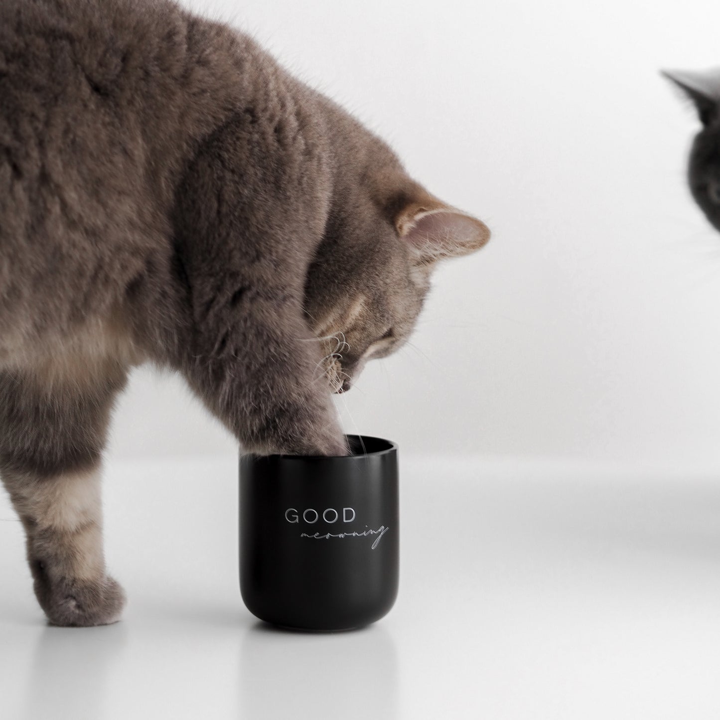 Tasse für Heißgetränke für Catlover, Katzenmamas und Katzenliebhaber