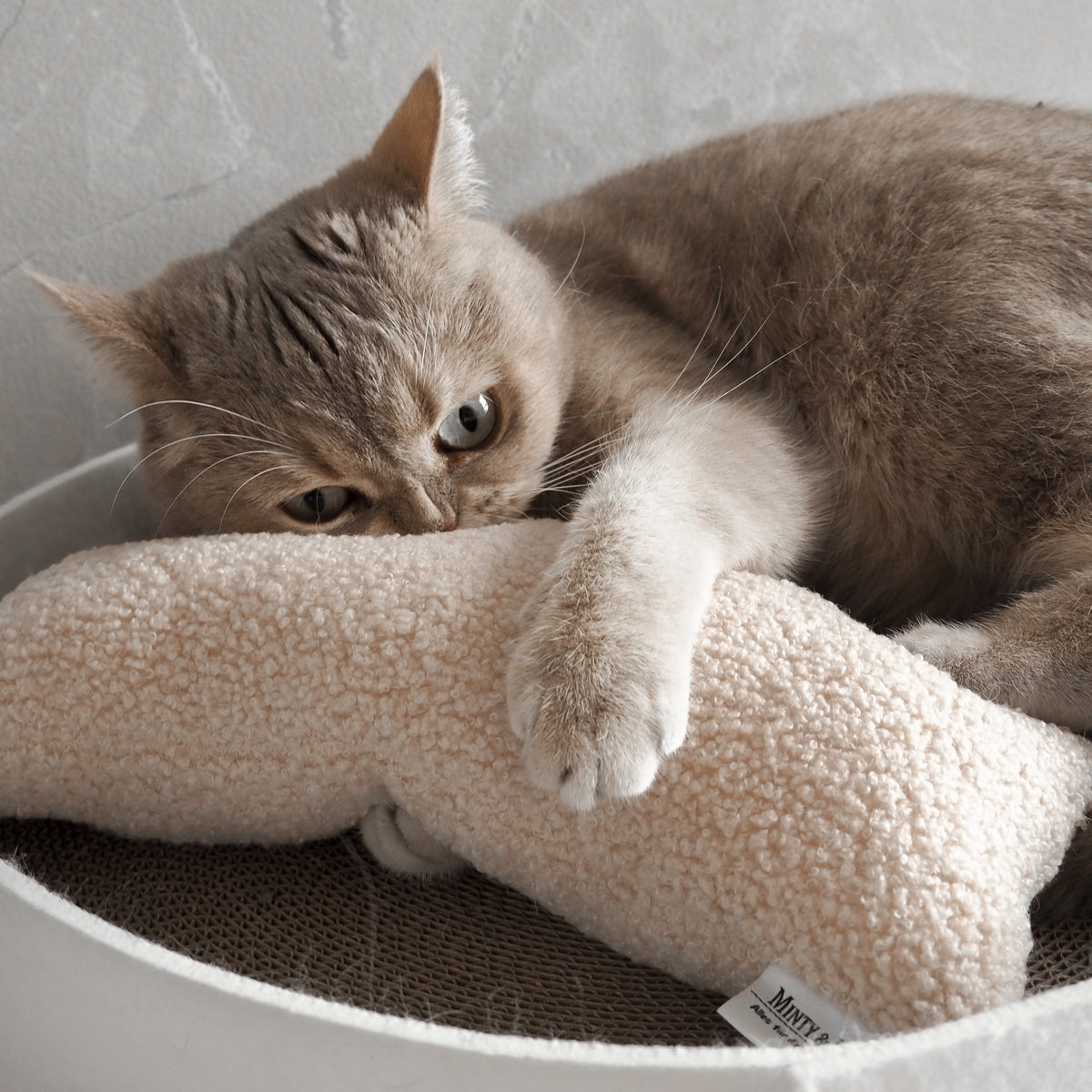 Großes Spielkissen in Cremefarben mit spielanregendem Baldrian mit einer begeisterten Katze