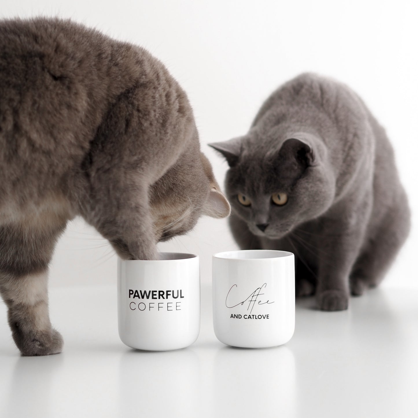 Katzen mit weißen Tassen aus Keramik mit Catlover Aufdruck
