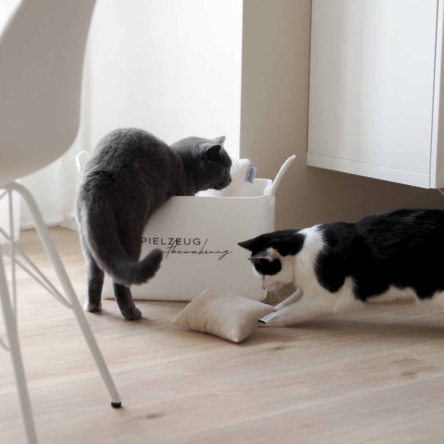 Katzen spielen mit schönem Katzenspielzeug und einem Korb für das Spielzeug von Katzen.