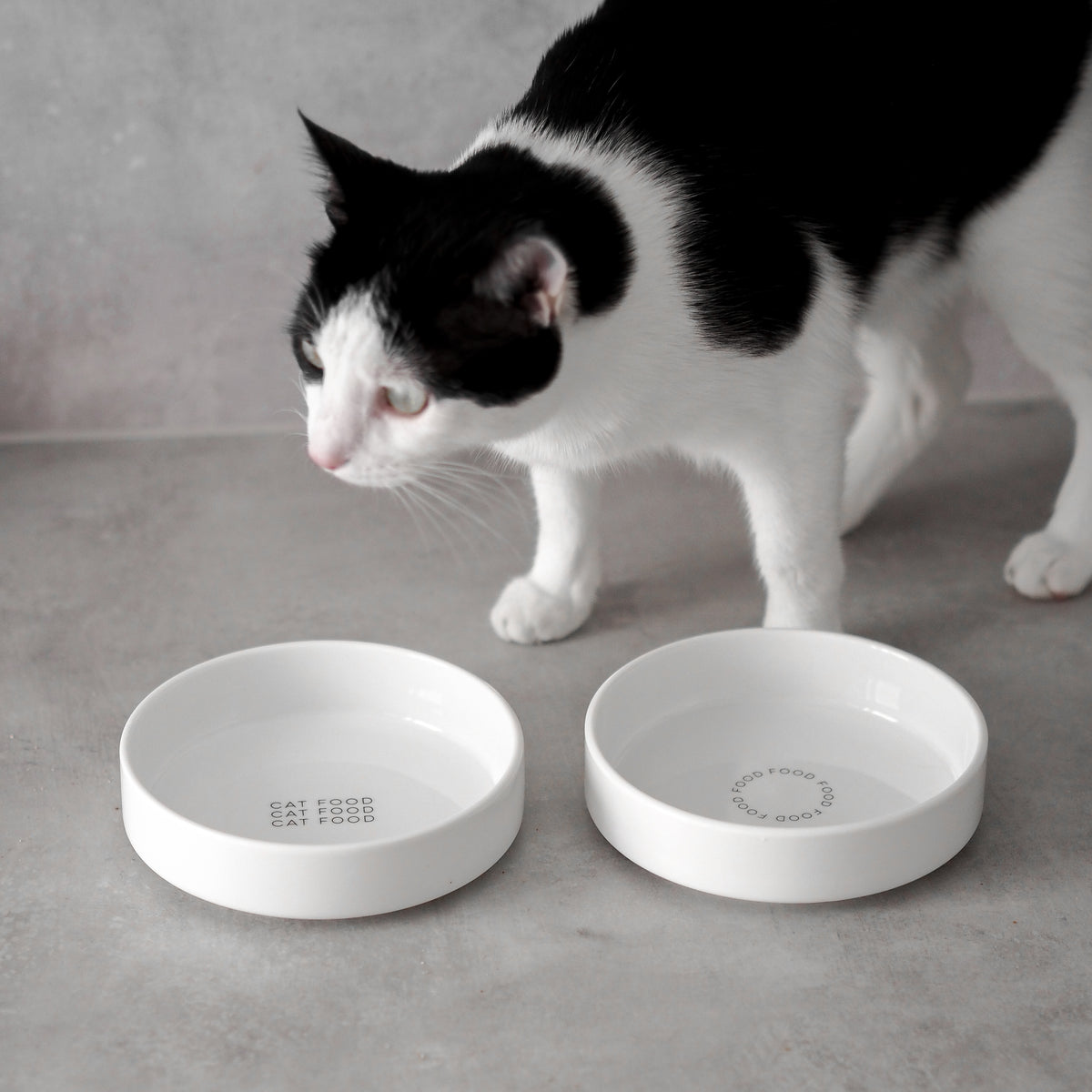 Katzennäpfe aus hochwertigem Keramik für Katzen
