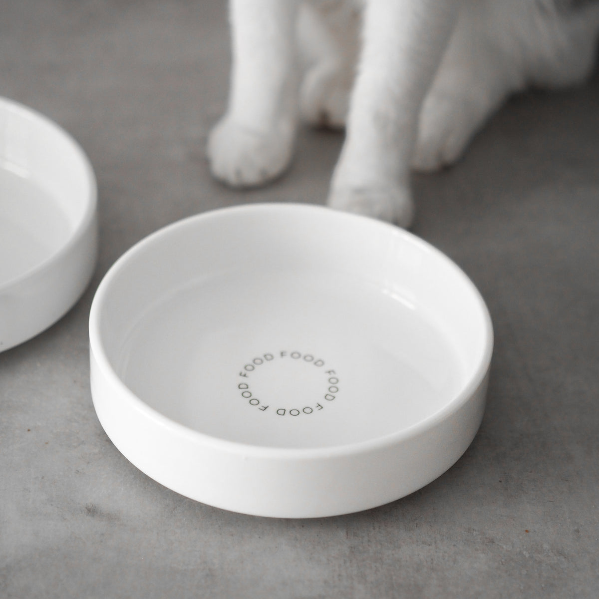 Extra flacher Napf für Katzen aus Keramik mit Aufdruck "Food"