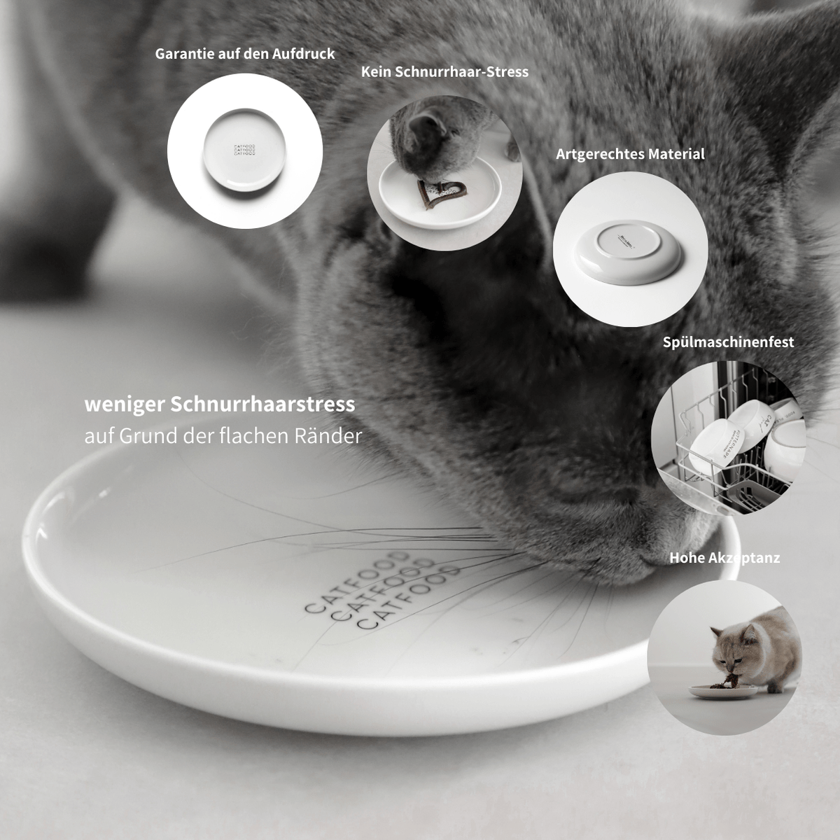 Napfteller flacher Napf aus Keramik für Katzen