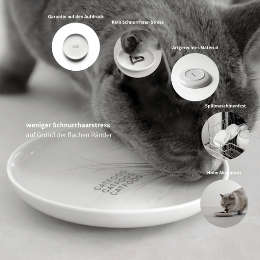 Napfteller flacher Napf aus Keramik für Katzen