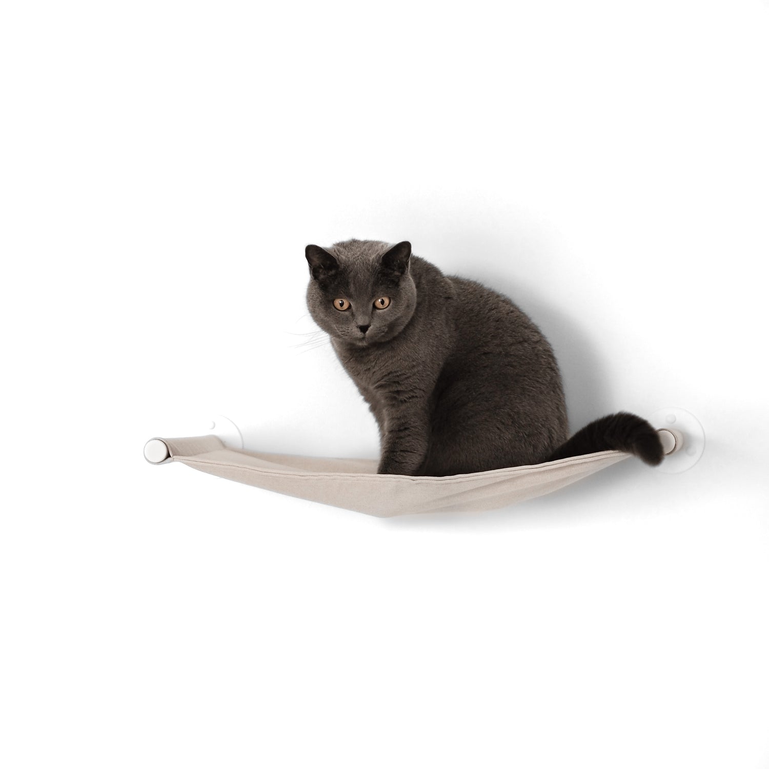 Eine graue Katze sitzt auf einer beigen Hängematte für Katzen, welche an einer weißen Wand hängt.