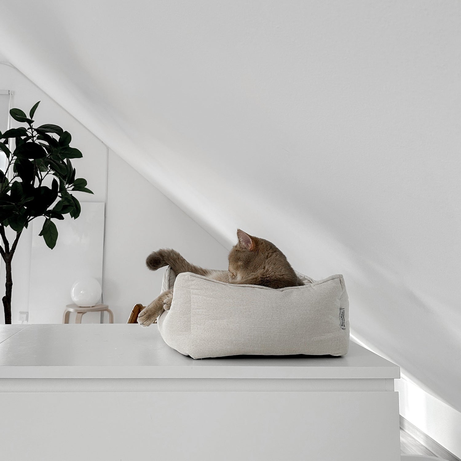 Schönes Körbchen für Katzen mit gemütlichen Innenkissen und anti-rutsch Unterseite als Rückzugsort für eine Fellnasen. Katzenbett aus hochwertigem Material in einer hellen und stilvollen Wohnung.