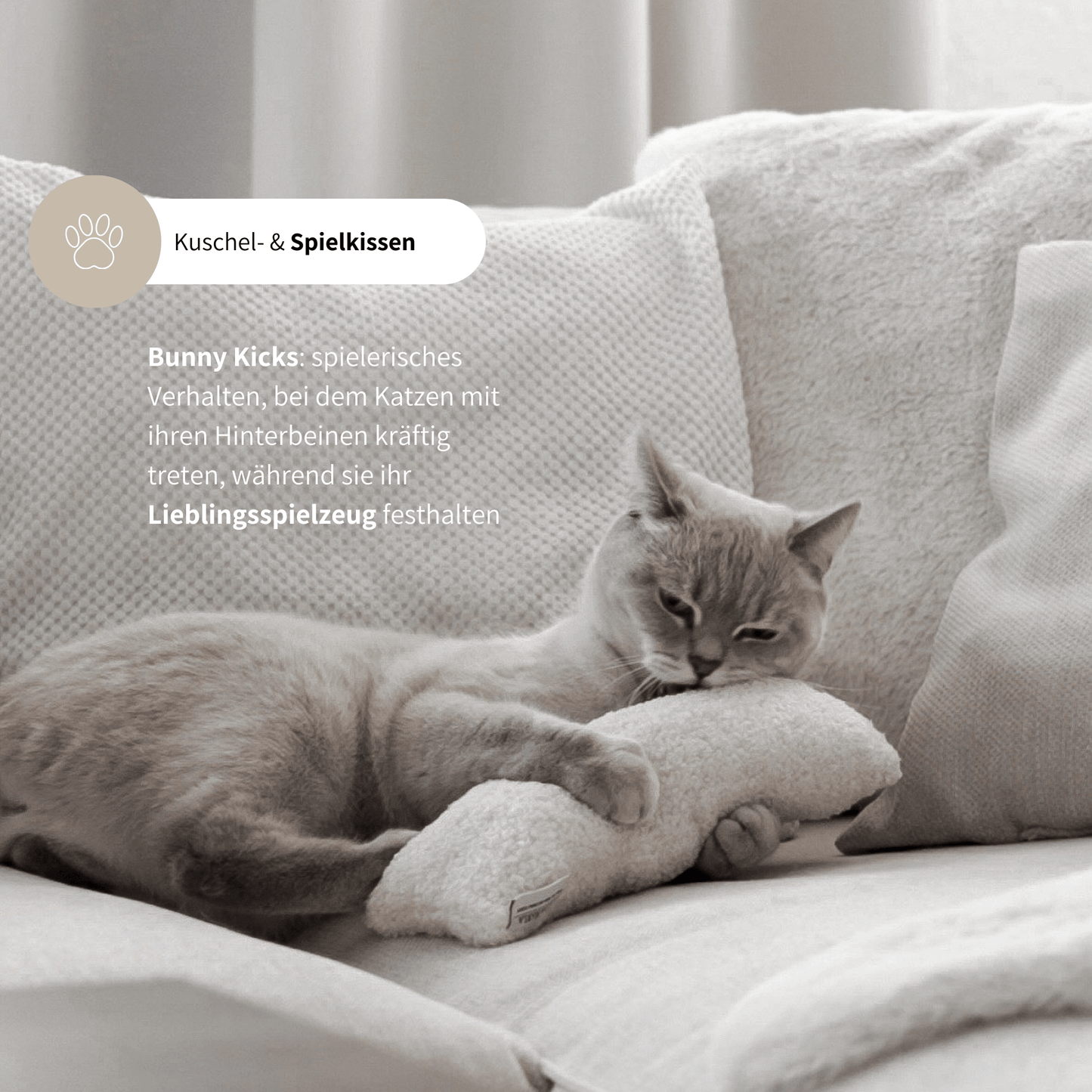 Spielkissen für Katzen schönes Katzenspielzeug mit Katzenminze