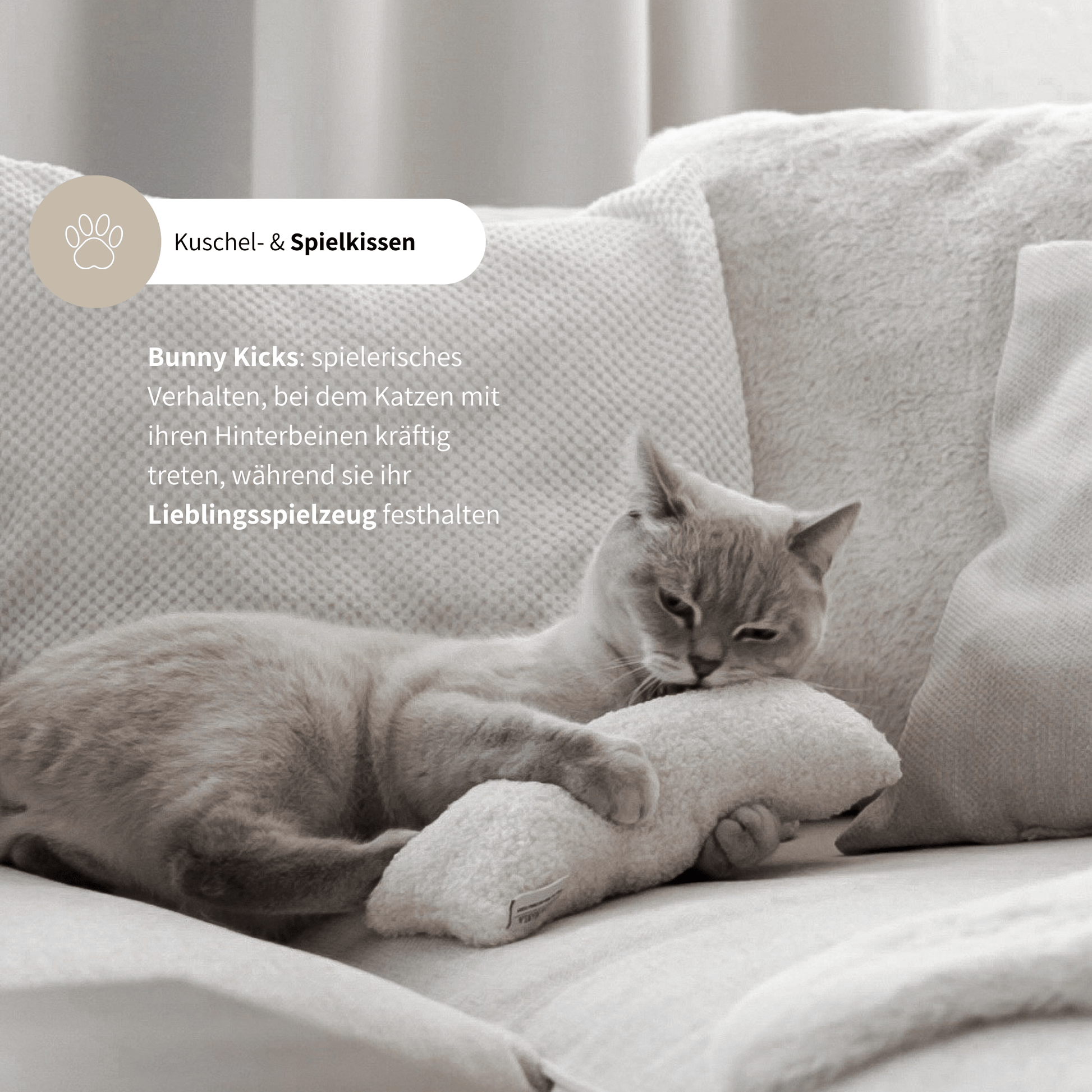 Spielkissen für Katzen schönes Katzenspielzeug mit Katzenminze