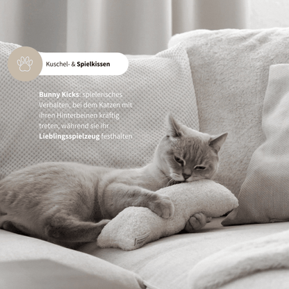 Spielkissen für Katzen schönes Katzenspielzeug mit Katzenminze