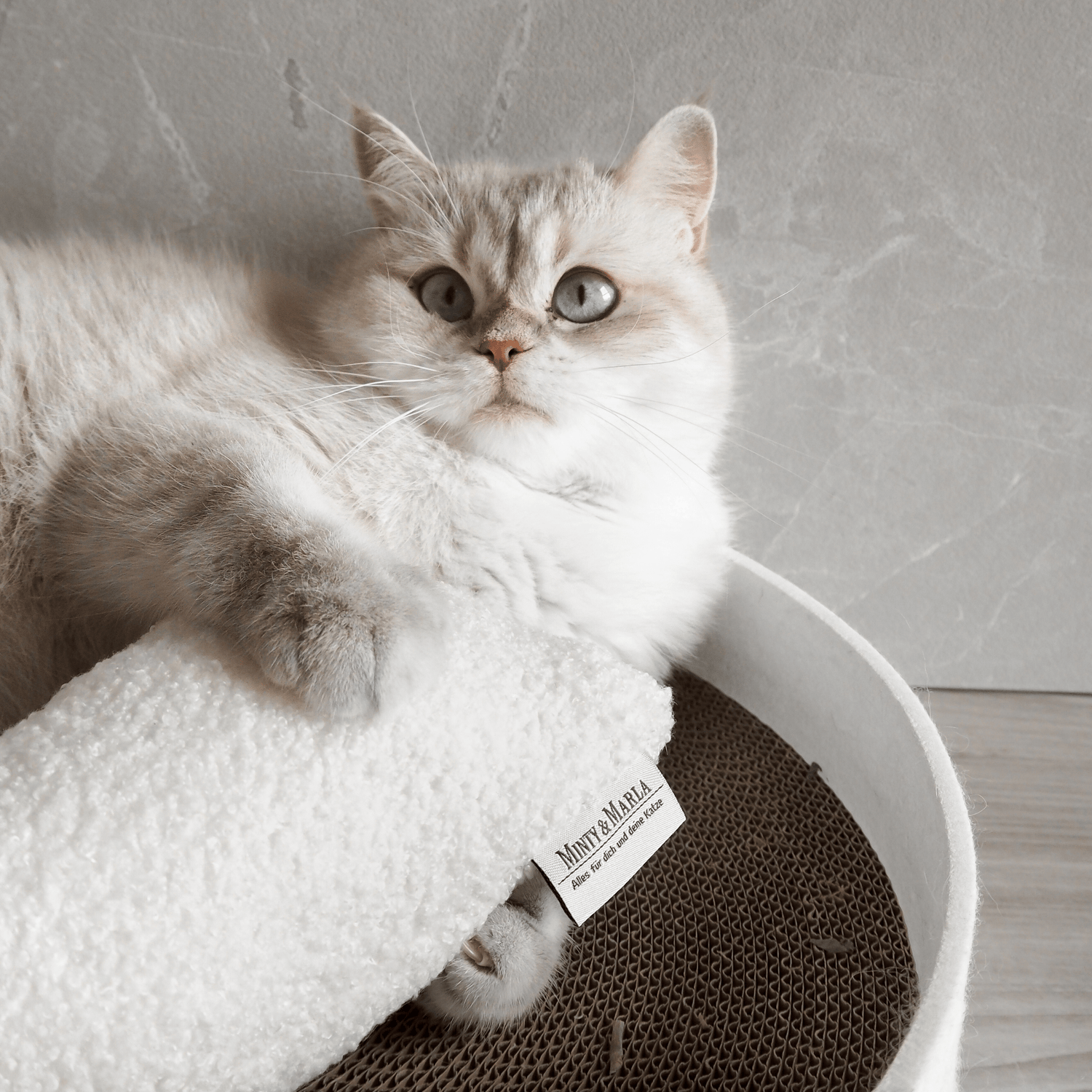 Spielkissen für Katzen aus weißem Teddystoff spielanregend mit Katzenminze