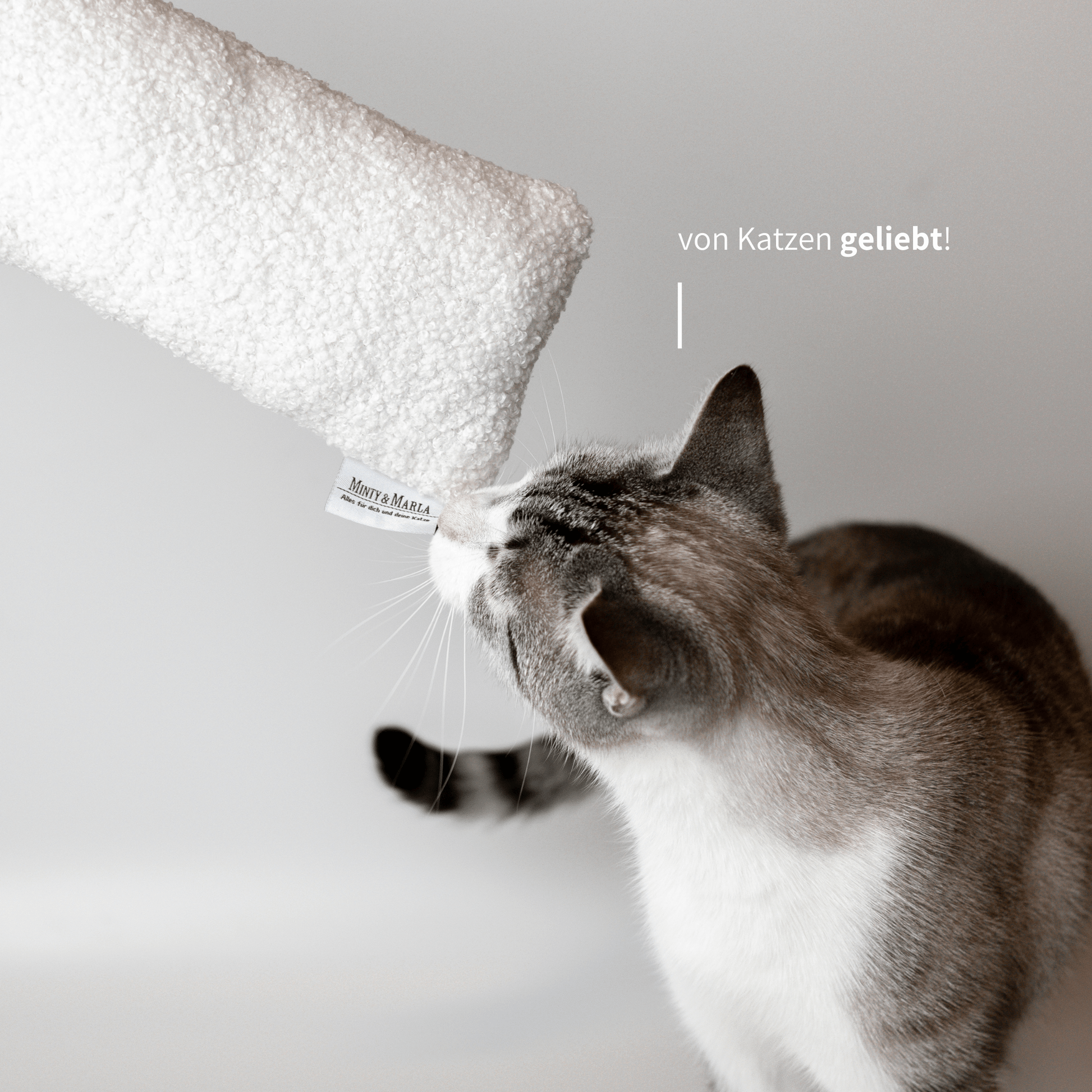 Katzenspielzeug spielanregend mit Katzenminze von Katzen geliebt