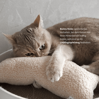 Schönes Baldrian Spielzeug für Katzen spielanregendes Spielkissen