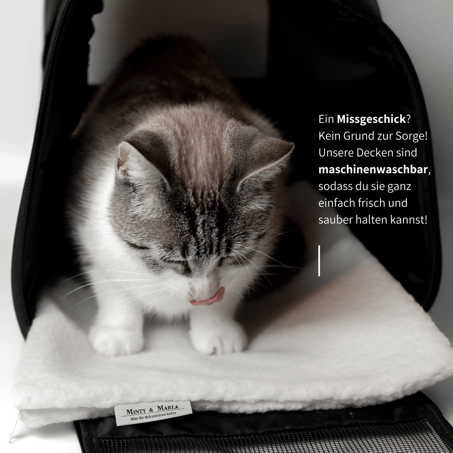 Selbstheizende Katzendecke für die Transportbox aus weißem Teddystoff