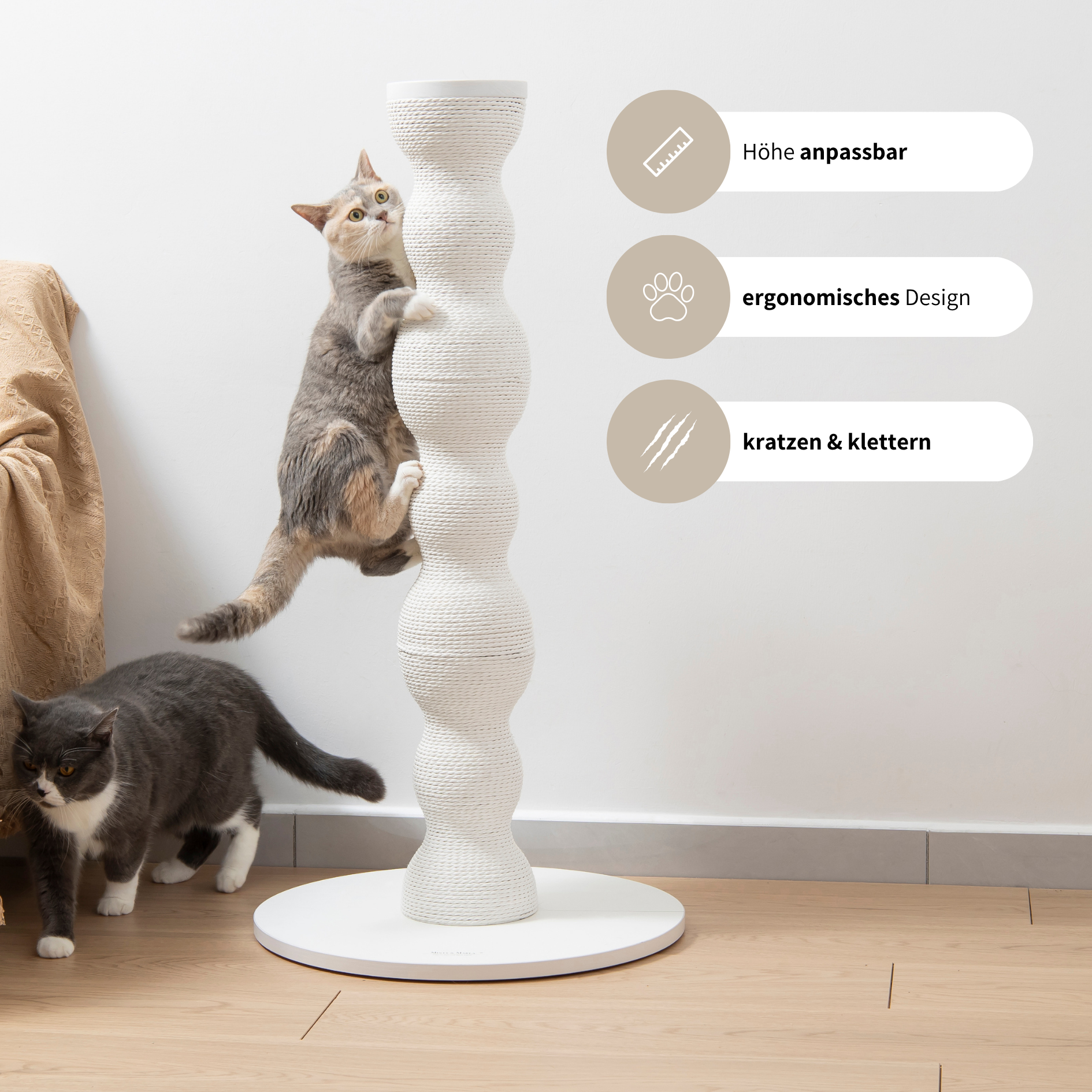 stylische und hochwertige Kratzsäule für Katzen