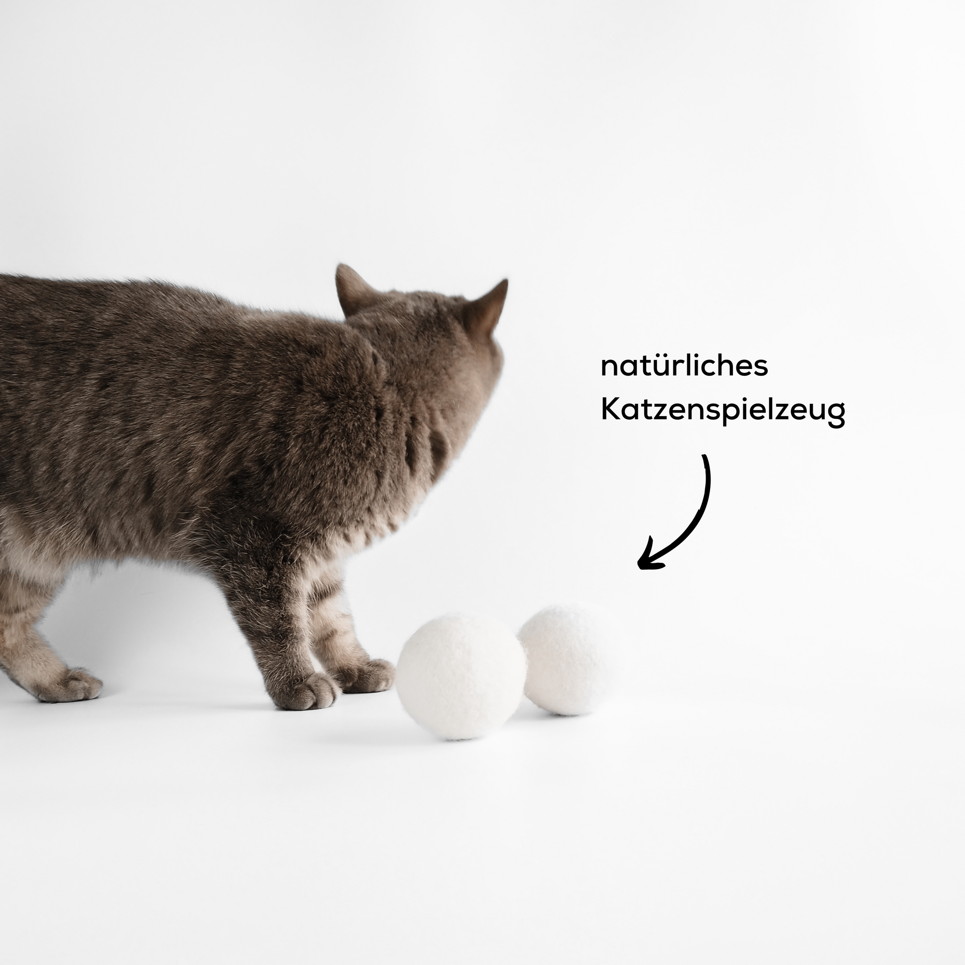 Katze spielt mit natürlichem Katzenspielzeug, Bälle aus Filz.