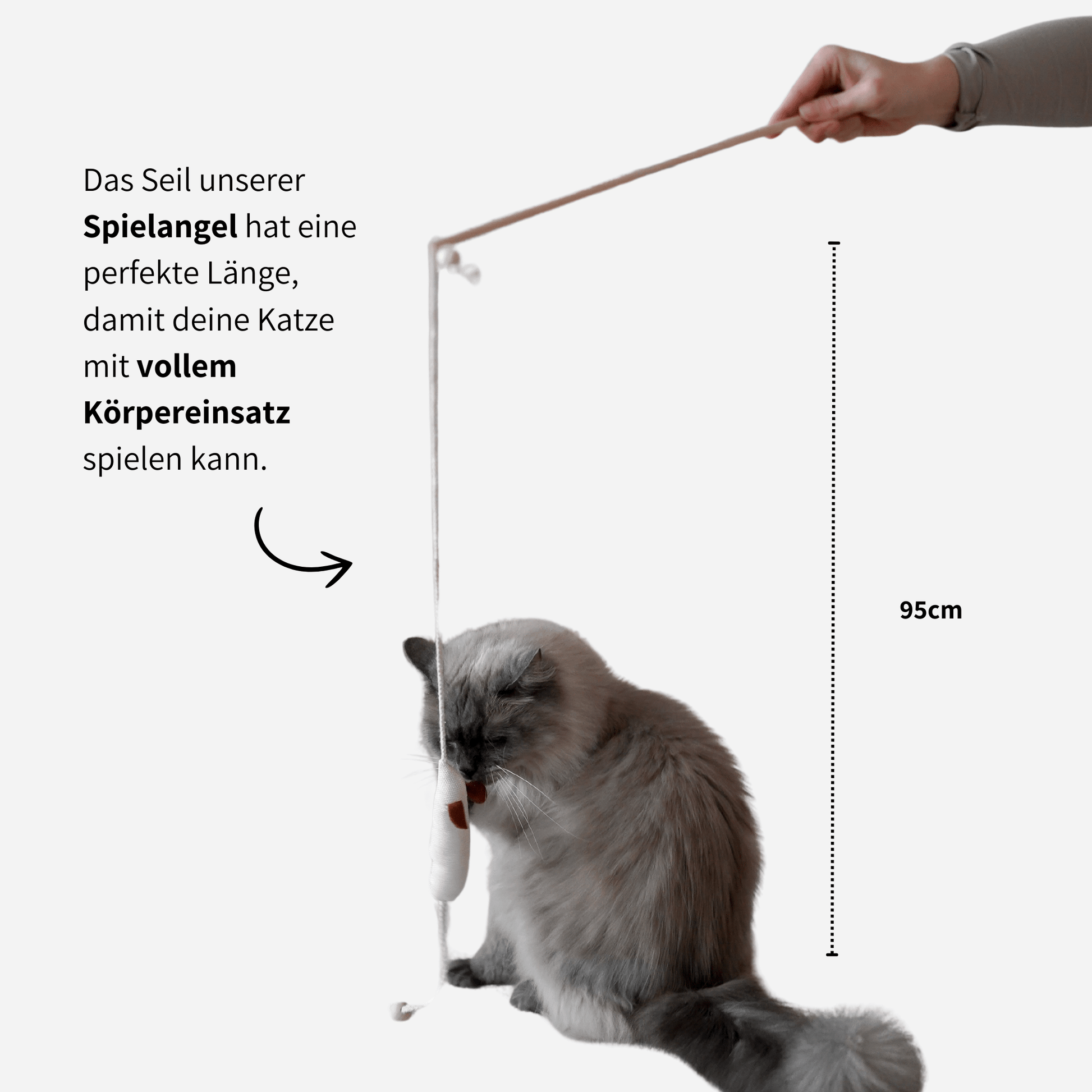 Katze spielt mit Spielangel Katzenspielzeug mit Katzenminze