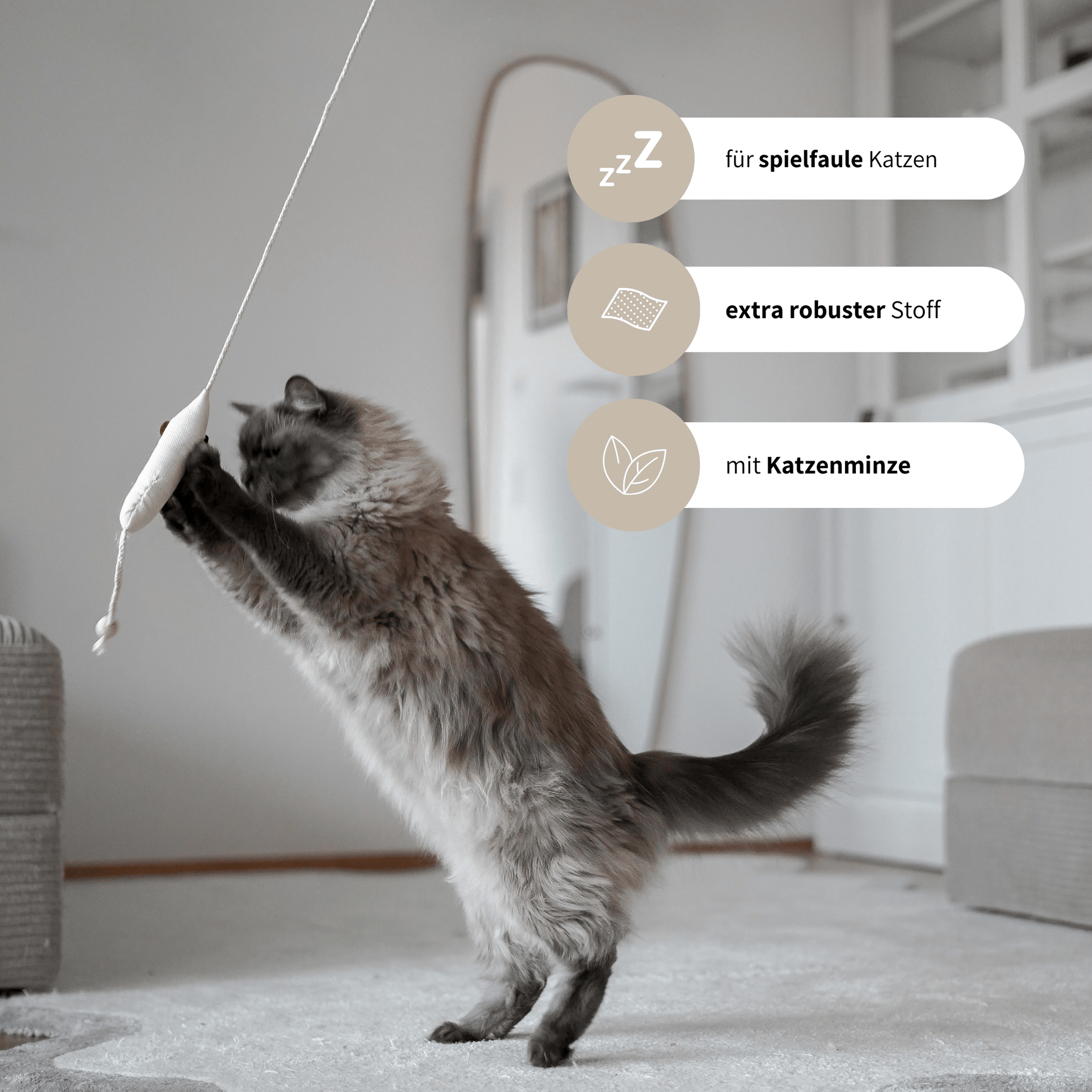 Spielangel für Katzen Katzenspielzeug robust