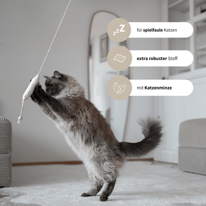 Spielangel für Katzen Katzenspielzeug robust