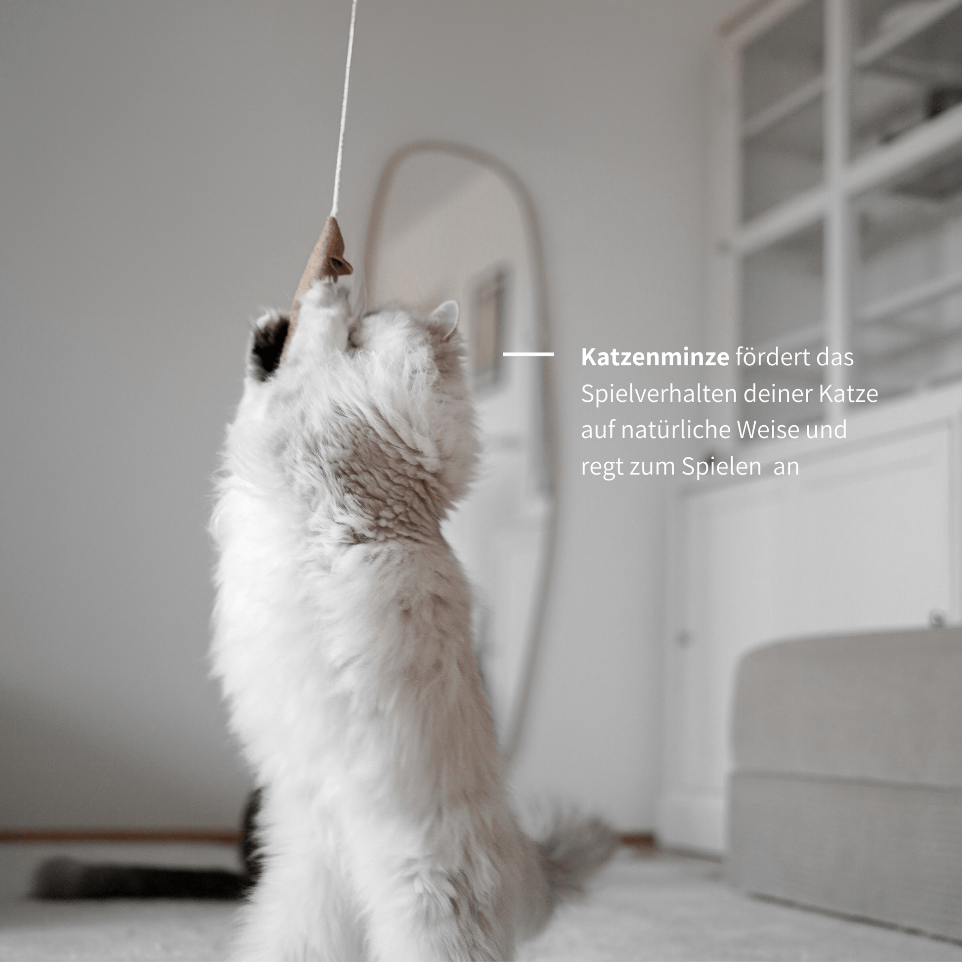 Spielangel Katzenspielzeug mit Katzenminze für Katzen