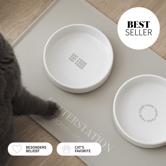 Schöner Futterplatz für Katzen bestehend aus Näpfen und Napfunterlage