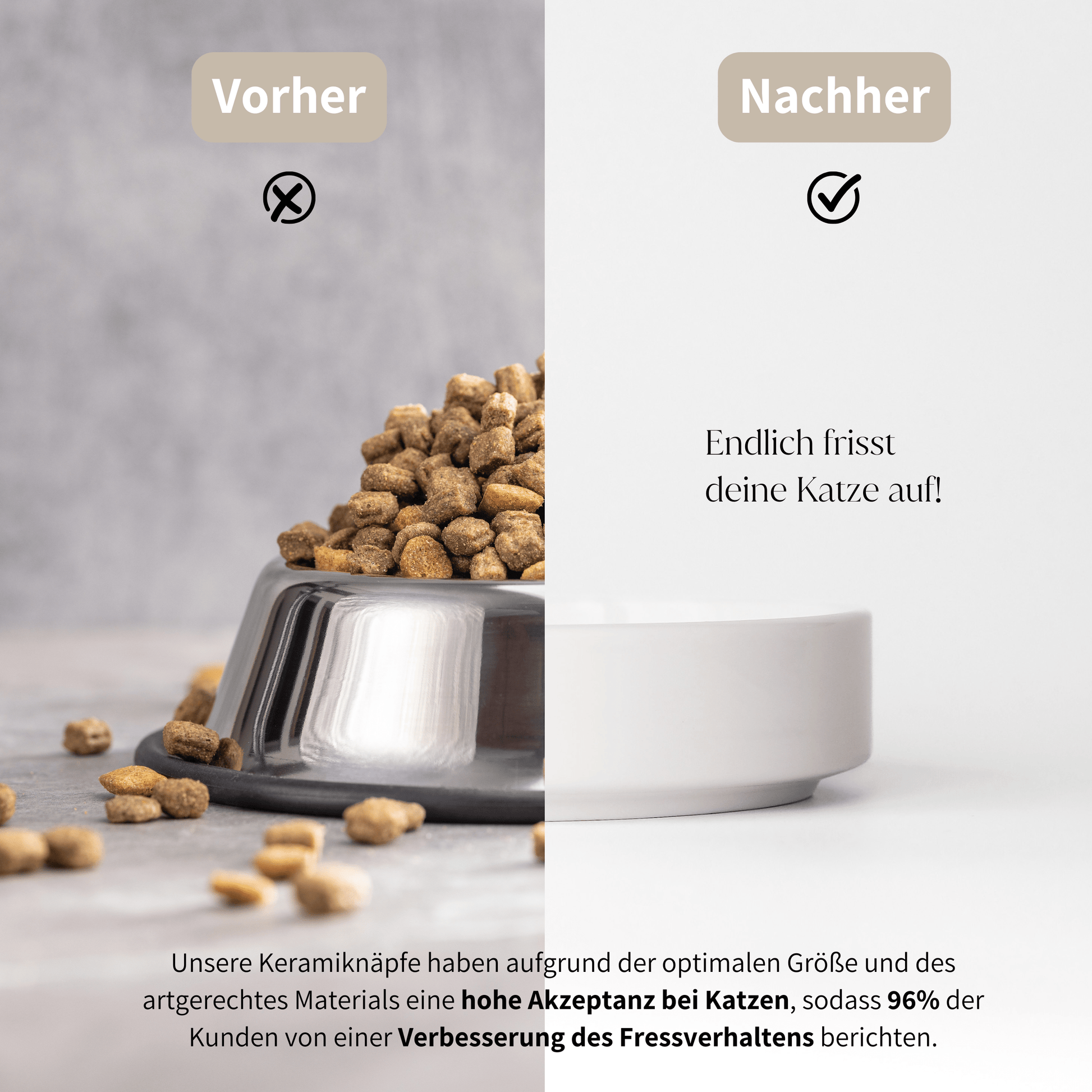 Stylischer und flacher Napf für Katzen mit hoher Akzeptanz